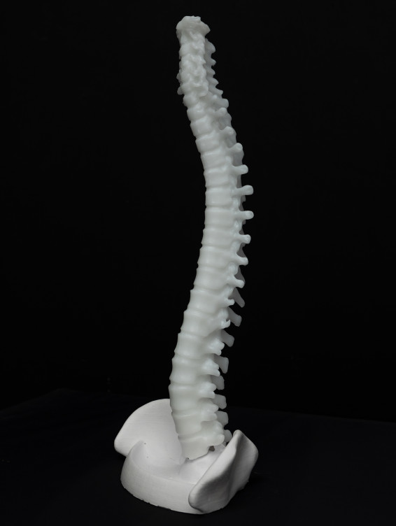 Большая свеча Позвоночник