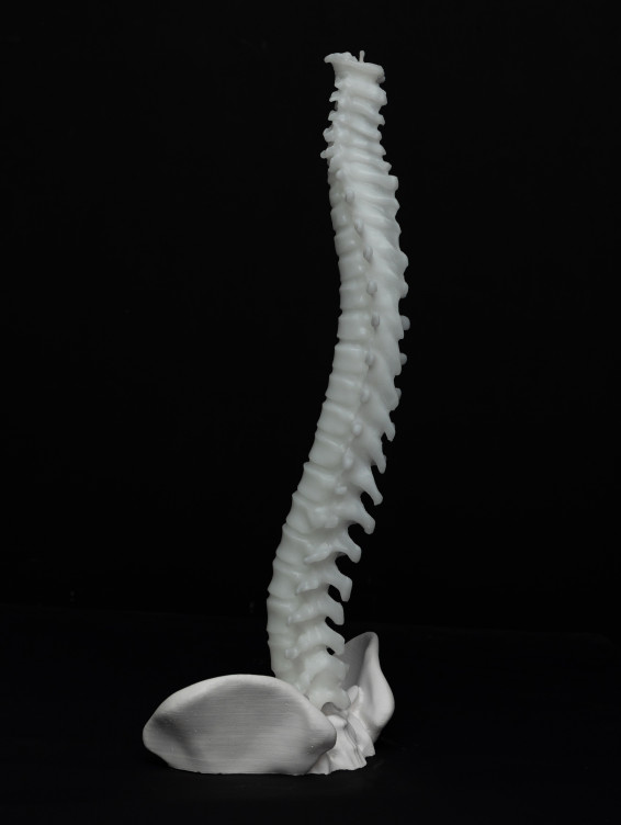 Большая свеча Позвоночник