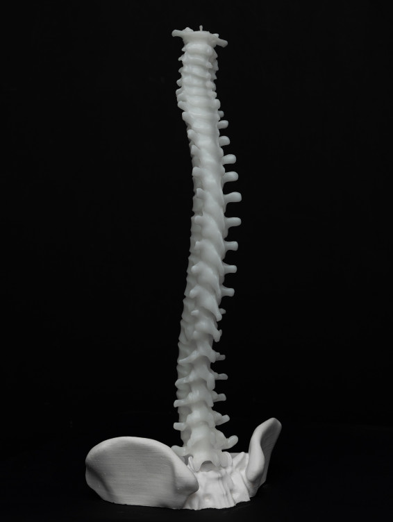 Большая свеча Позвоночник