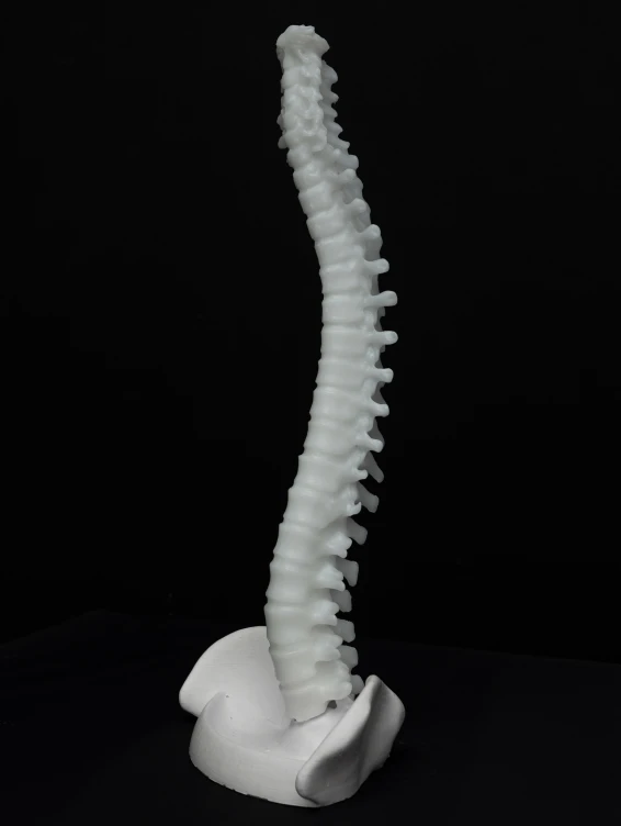 Большая свеча Позвоночник