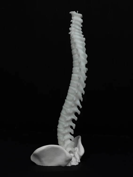 Большая свеча Позвоночник