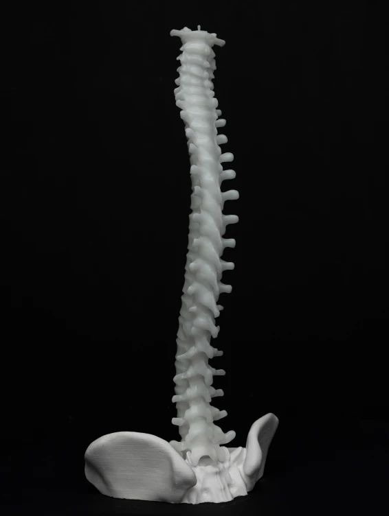 Большая свеча Позвоночник