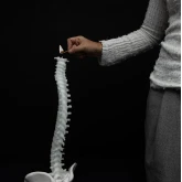 Большая свеча Позвоночник